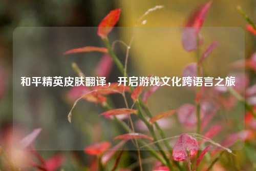 和平精英皮肤翻译,开启游戏文化跨语言之旅