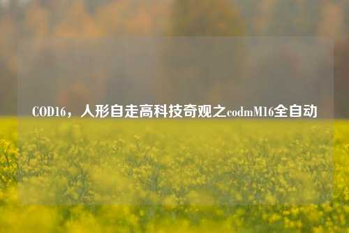 COD16，人形自走高科技奇观之codmM16全自动