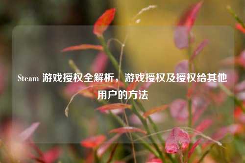 Steam 游戏授权全解析，游戏授权及授权给其他用户的方法