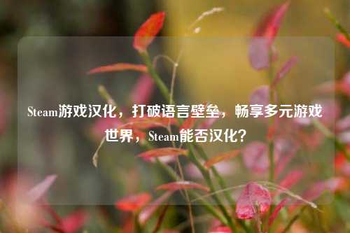 Steam游戏汉化，打破语言壁垒，畅享多元游戏世界，Steam能否汉化？