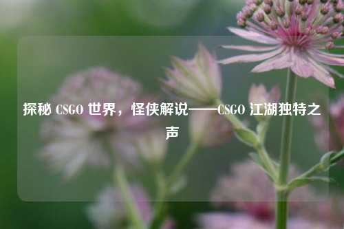 探秘 CSGO 世界，怪侠解说——CSGO 江湖独特之声