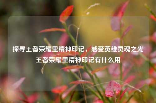 探寻王者荣耀里精神印记，感受英雄灵魂之光王者荣耀里精神印记有什么用