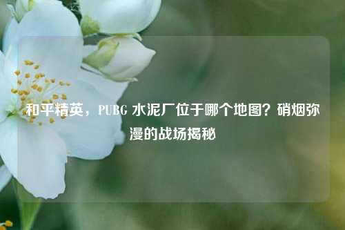 和平精英，PUBG 水泥厂位于哪个地图？硝烟弥漫的战场揭秘