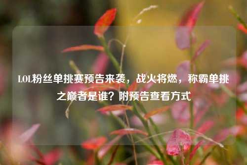 LOL粉丝单挑赛预告来袭，战火将燃，称霸单挑之巅者是谁？附预告查看方式