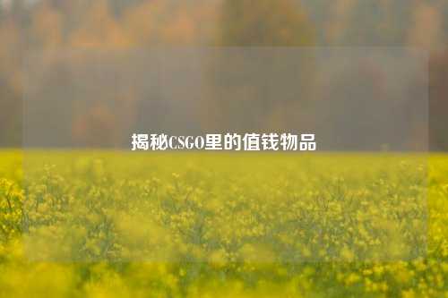 揭秘CSGO里的值钱物品