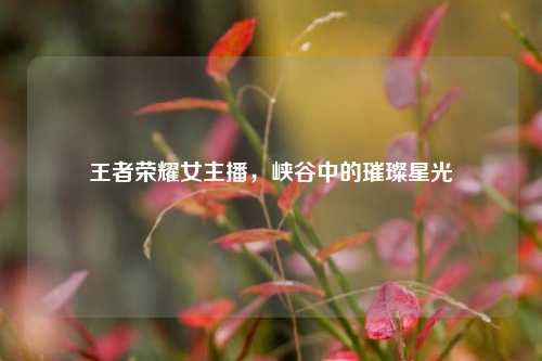 王者荣耀女主播，峡谷中的璀璨星光