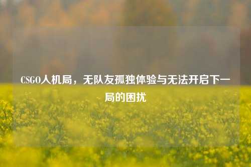 CSGO人机局，无队友孤独体验与无法开启下一局的困扰