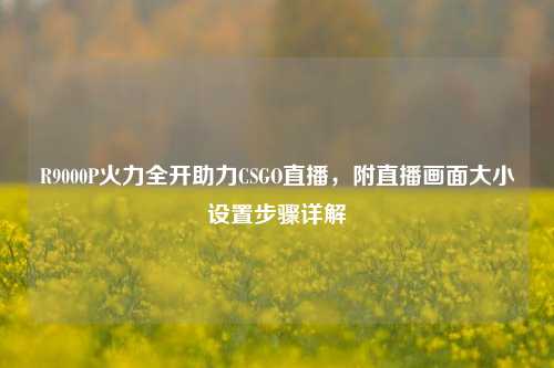 R9000P火力全开助力CSGO直播，附直播画面大小设置步骤详解