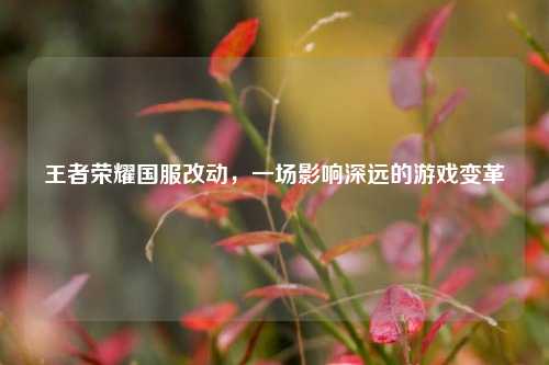 王者荣耀国服改动，一场影响深远的游戏变革