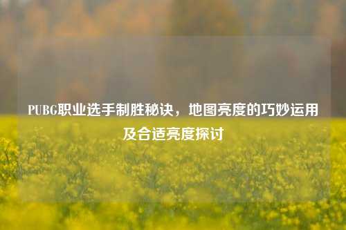 PUBG职业选手制胜秘诀，地图亮度的巧妙运用及合适亮度探讨