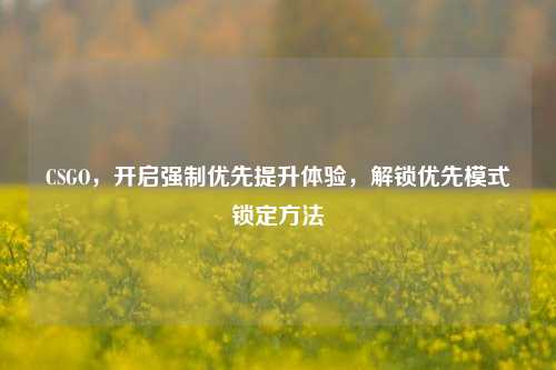CSGO，开启强制优先提升体验，解锁优先模式锁定方法