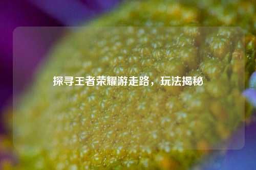 探寻王者荣耀游走路，玩法揭秘