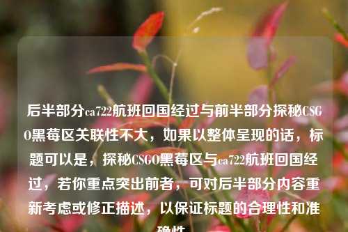 后半部分ca722航班回国经过与前半部分探秘CSGO黑莓区关联性不大，如果以整体呈现的话，标题可以是，探秘CSGO黑莓区与ca722航班回国经过，若你重点突出前者，可对后半部分内容重新考虑或修正描述，以保证标题的合理性和准确性。