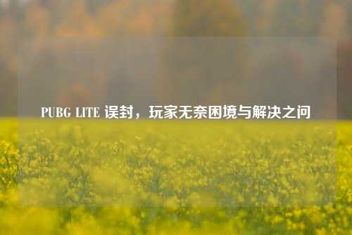 PUBG LITE 误封，玩家无奈困境与解决之问