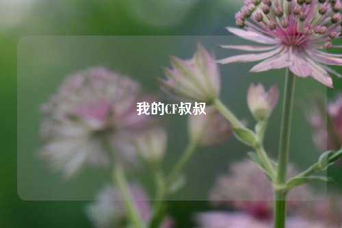 我的CF叔叔