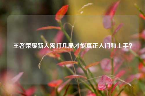 王者荣耀新人需打几局才能真正入门和上手？