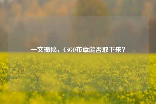 一文揭秘,CSGO布章能否取下来?