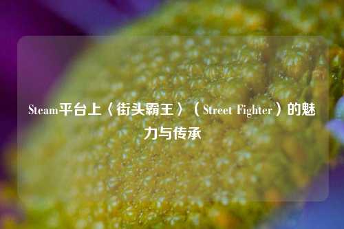 Steam平台上〈街头霸王〉（Street Fighter）的魅力与传承
