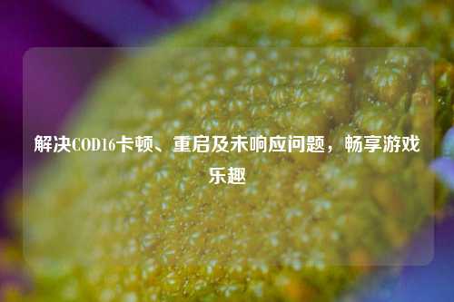 解决COD16卡顿、重启及未响应问题，畅享游戏乐趣