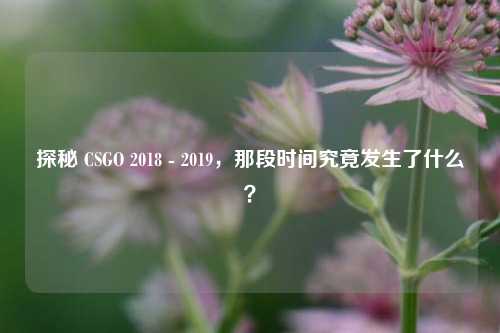 探秘 CSGO 2018 - 2019，那段时间究竟发生了什么？