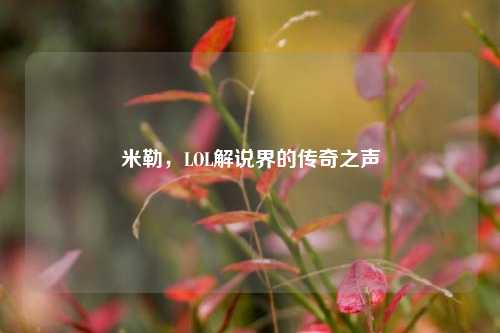 米勒，LOL解说界的传奇之声