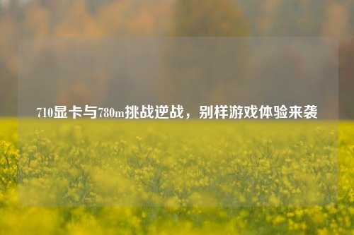 710显卡与780m挑战逆战，别样游戏体验来袭