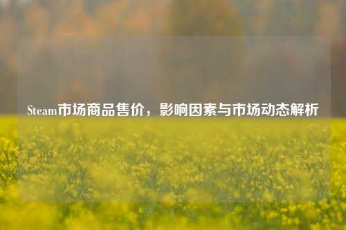 Steam市场商品售价，影响因素与市场动态解析