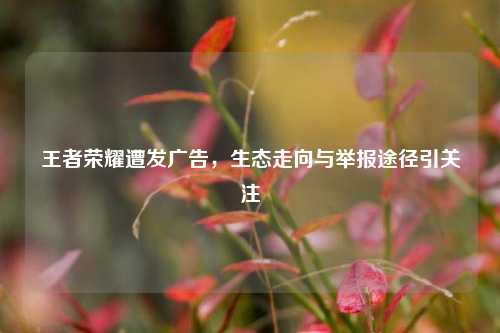 王者荣耀遭发广告，生态走向与举报途径引关注