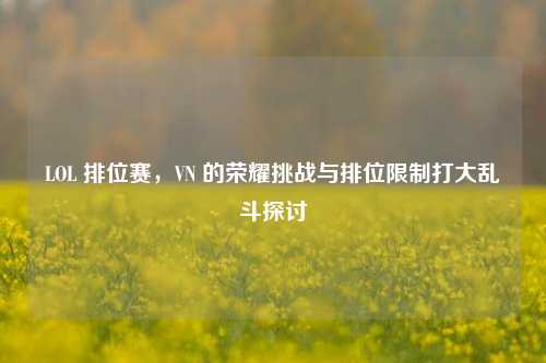 LOL 排位赛，VN 的荣耀挑战与排位限制打大乱斗探讨