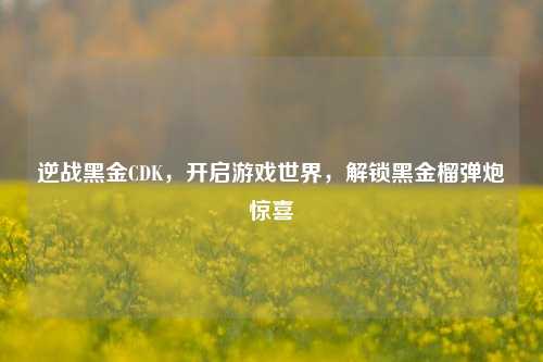 逆战黑金CDK，开启游戏世界，解锁黑金榴弹炮惊喜
