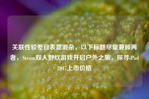 关联性较差且表意混杂，以下标题尽量兼顾两者，Steam双人野炊游戏开启户外之旅，探寻iPad2017上市价格