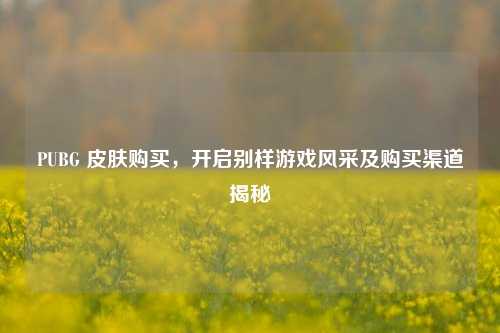 PUBG 皮肤购买，开启别样游戏风采及购买渠道揭秘