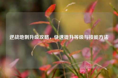 逆战地刺升级攻略，快速提升等级与技能方法