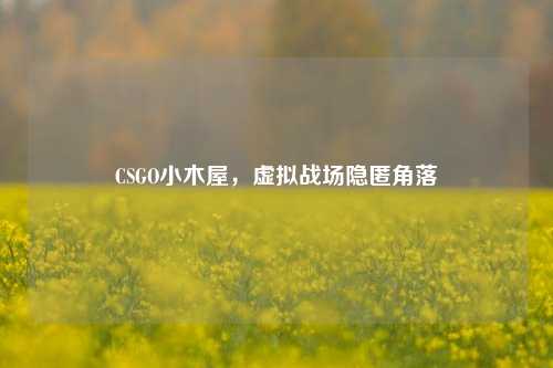 CSGO小木屋，虚拟战场隐匿角落