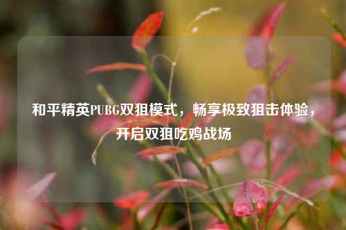 和平精英PUBG双狙模式，畅享极致狙击体验，开启双狙吃鸡战场