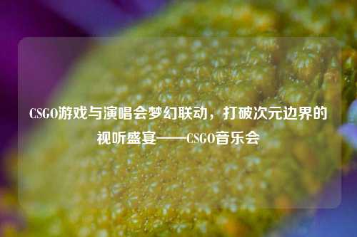 CSGO游戏与演唱会梦幻联动,打破次元边界的视听盛宴——CSGO音乐会