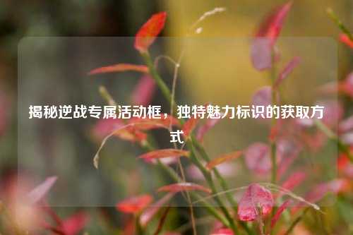 揭秘逆战专属活动框，独特魅力标识的获取方式