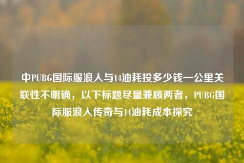 中PUBG国际服浪人与14油耗投多少钱一公里关联性不明确，以下标题尽量兼顾两者，PUBG国际服浪人传奇与14油耗成本探究