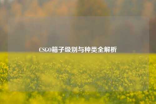 CSGO箱子级别与种类全解析