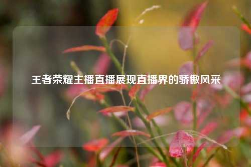 王者荣耀主播直播展现直播界的骄傲风采