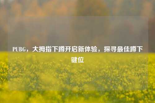 PUBG，大拇指下蹲开启新体验，探寻最佳蹲下键位