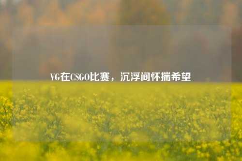 VG在CSGO比赛，沉浮间怀揣希望
