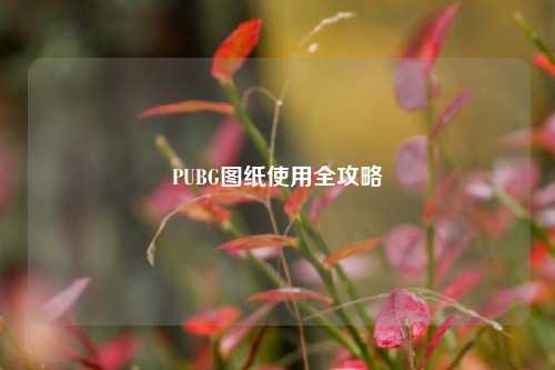 PUBG图纸使用全攻略