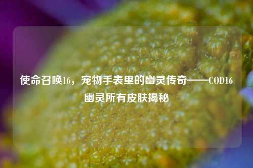 使命召唤16，宠物手表里的幽灵传奇——COD16幽灵所有皮肤揭秘