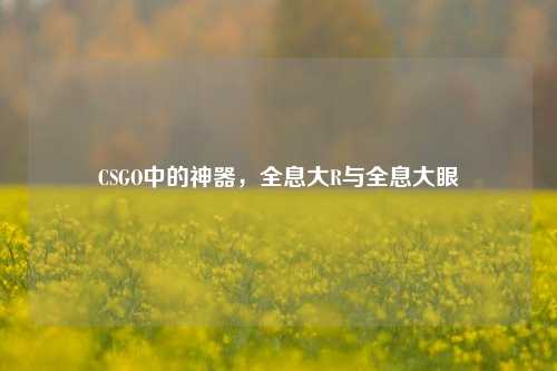 CSGO中的神器，全息大R与全息大眼