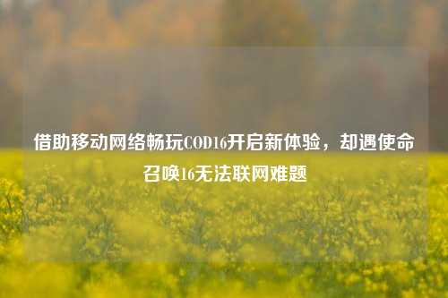 借助移动网络畅玩COD16开启新体验，却遇使命召唤16无法联网难题