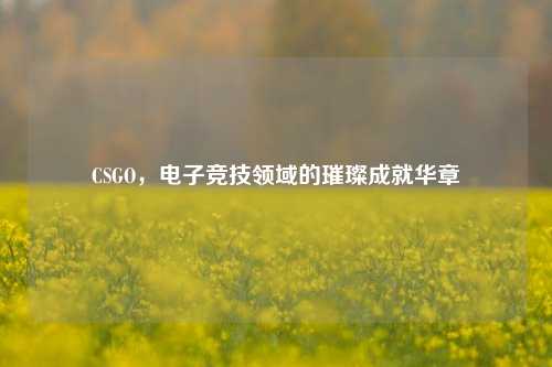CSGO，电子竞技领域的璀璨成就华章