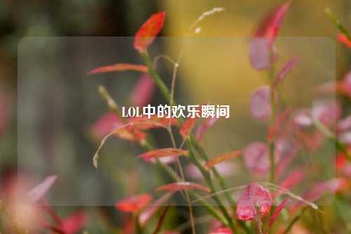 LOL中的欢乐瞬间