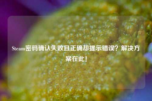 Steam密码确认失败且正确却提示错误？解决方案在此！