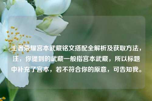 王者荣耀宫本武藏铭文搭配全解析及获取方法，注，你提到的武藏一般指宫本武藏，所以标题中补充了宫本，若不符合你的原意，可告知我。